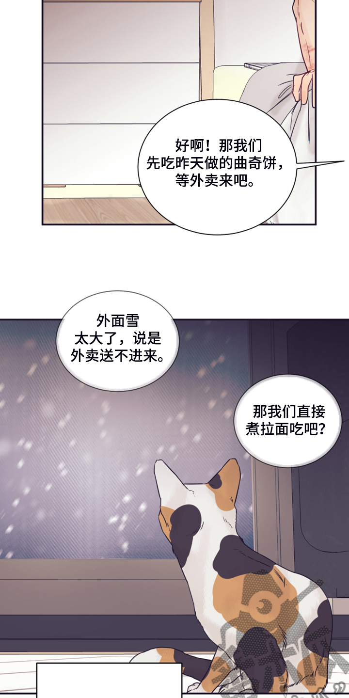 第62章：【完结】未知的未来16
