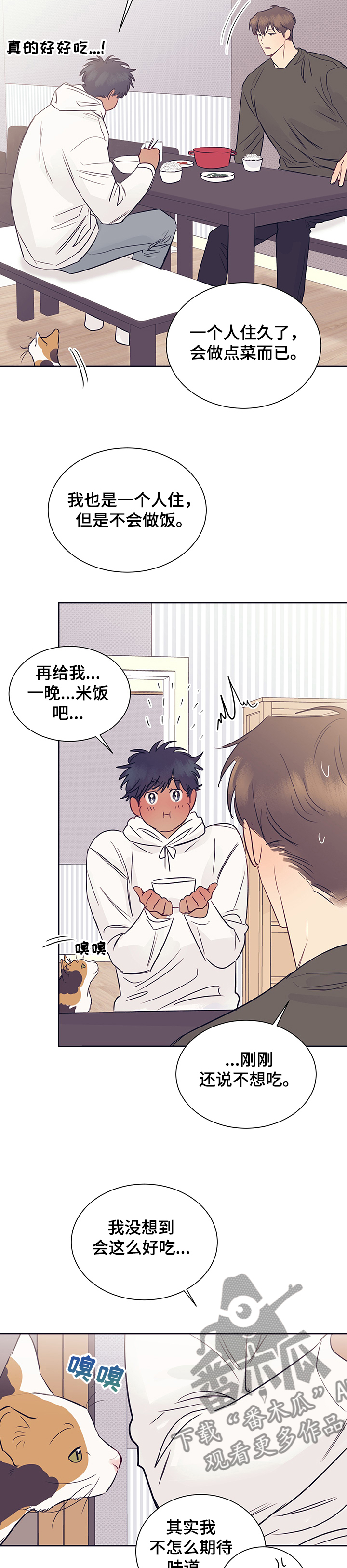第38章：被猫抓了3