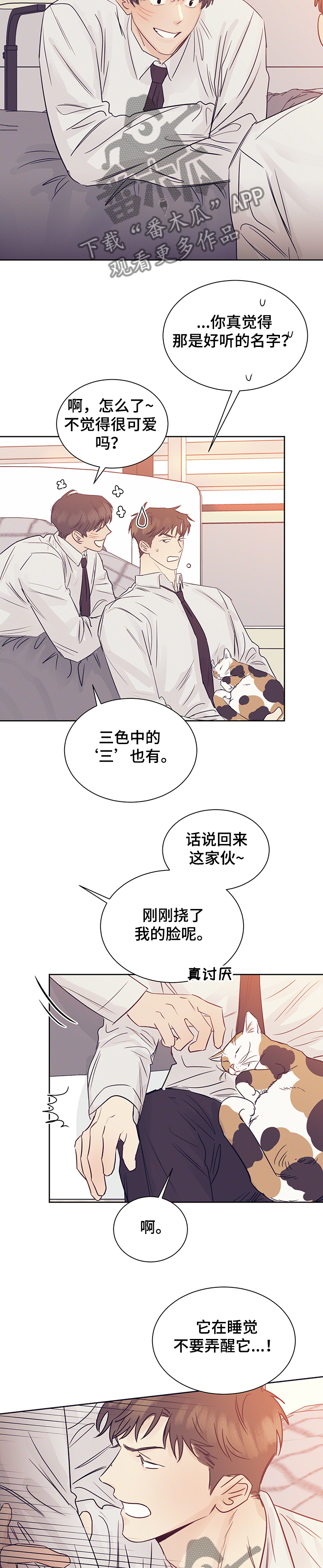 第38章：被猫抓了8
