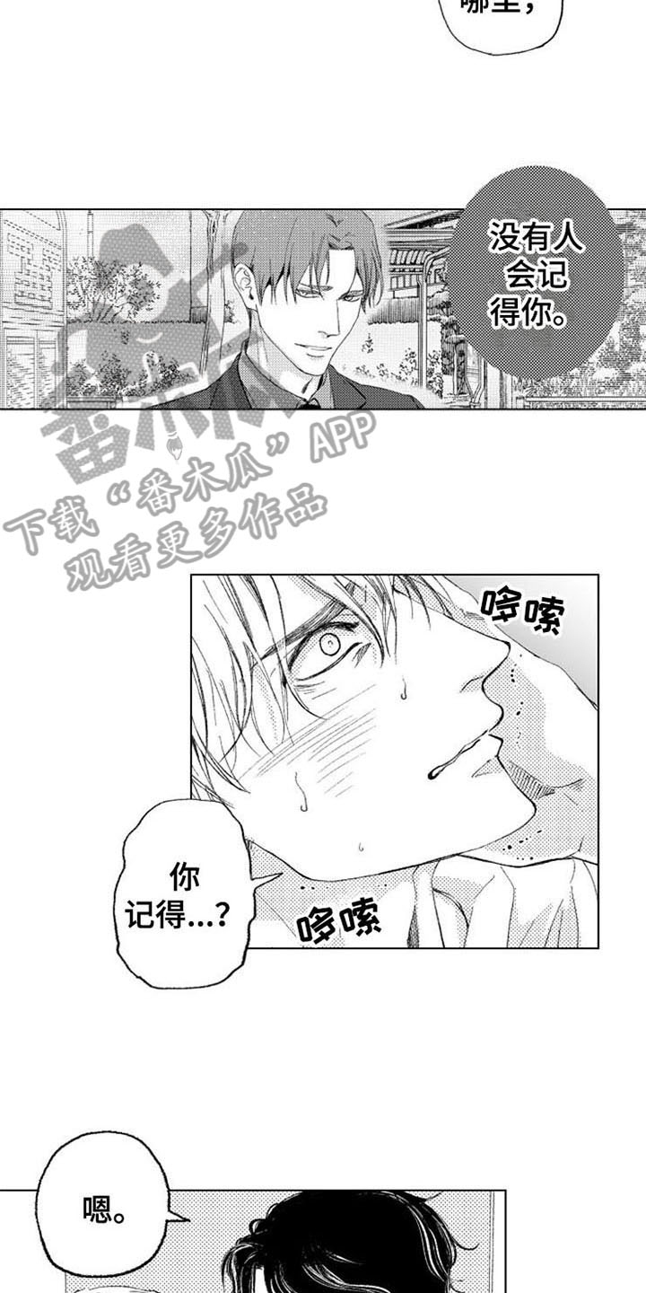 第19章：记得11