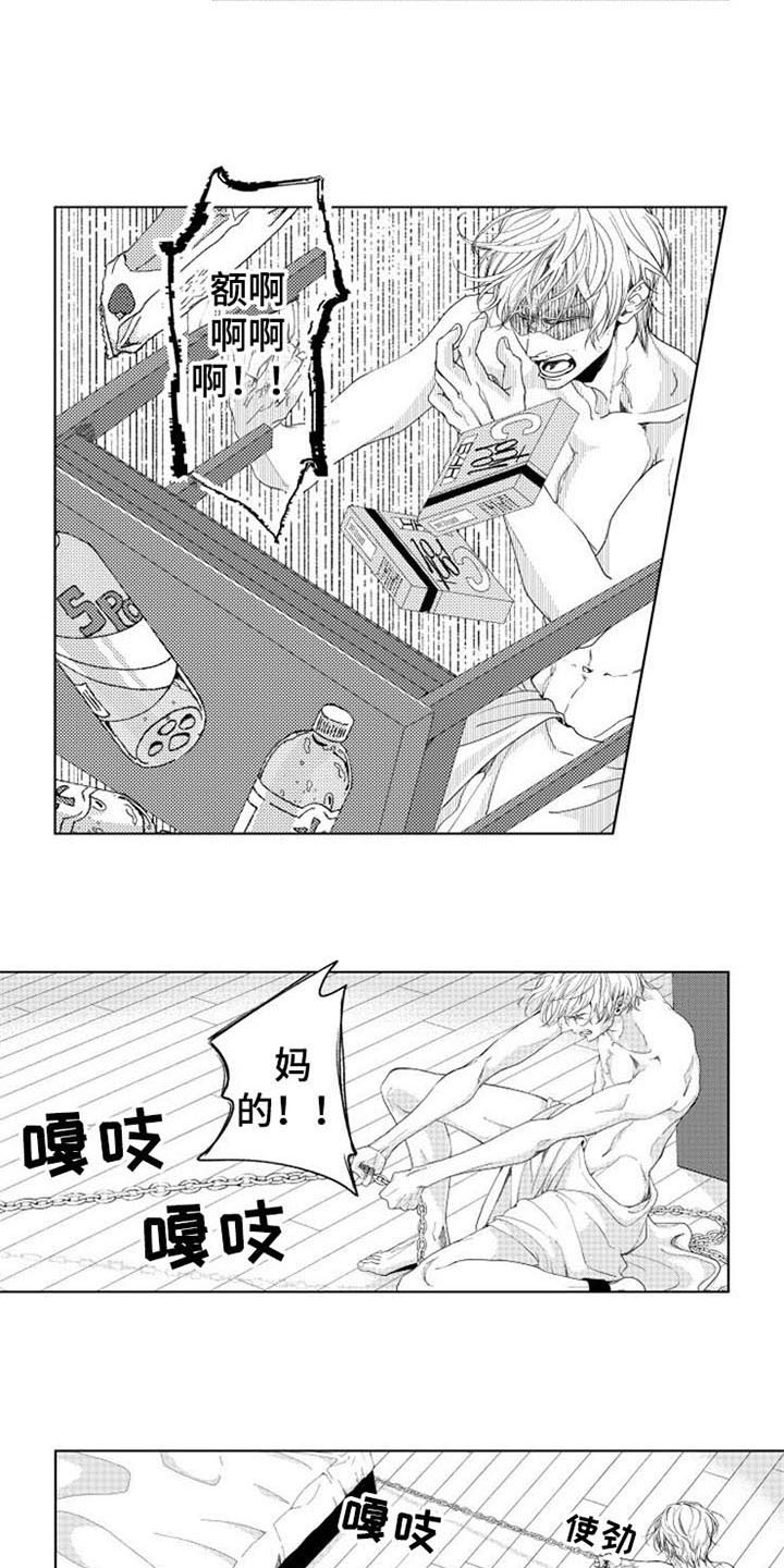 第4章：试探5