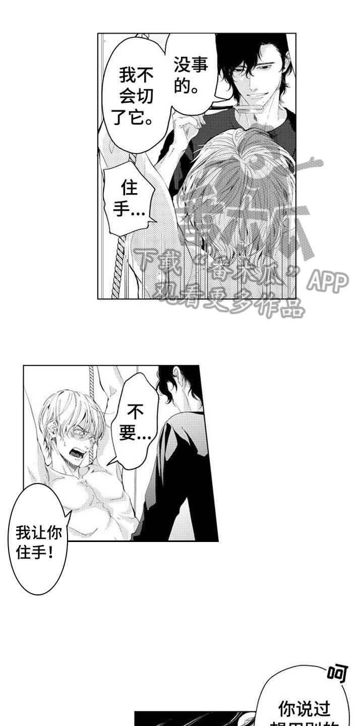 第5章：询问0