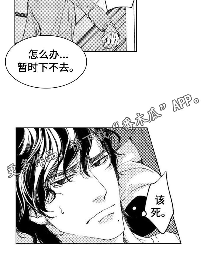 第13章：变化13