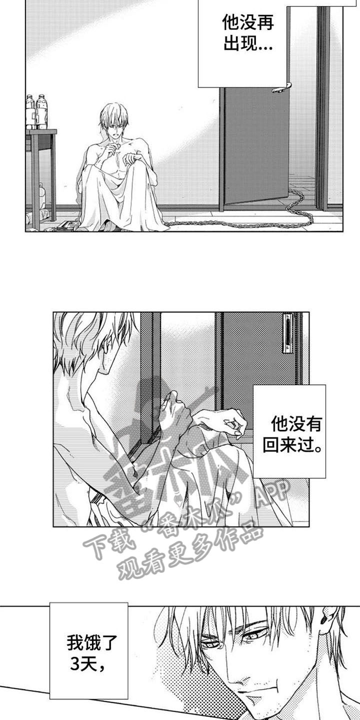 第6章：期盼5