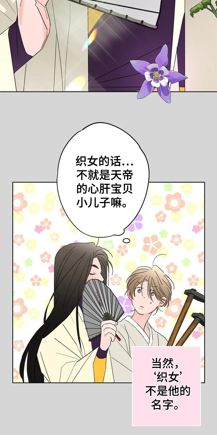 第2章：一见钟情10