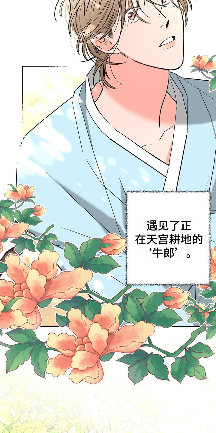 第1章：和离3