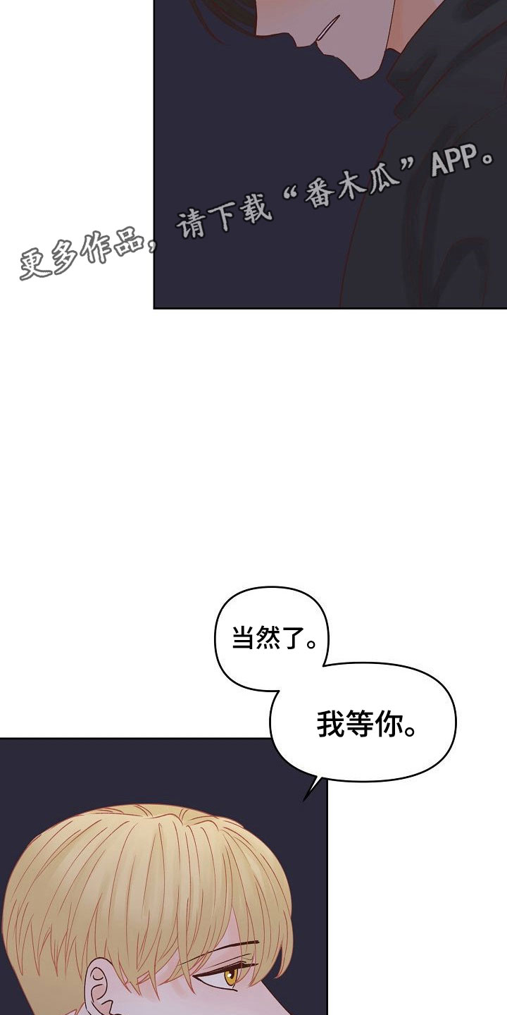 第32章：闪闪发光29