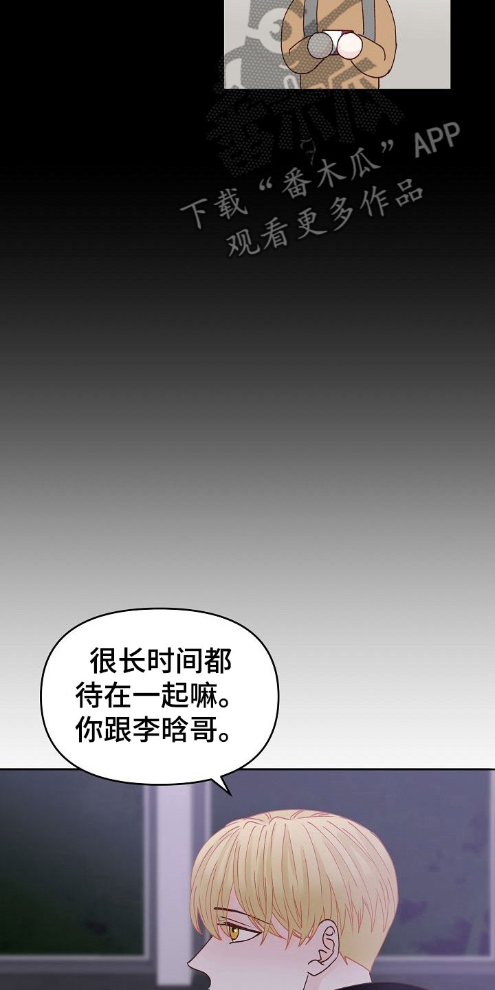 第32章：闪闪发光19