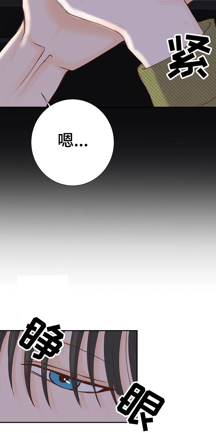 第15章：计划24