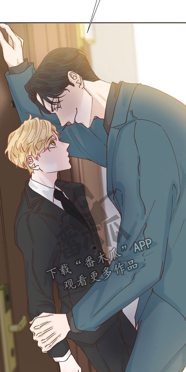第7章：各出手段25