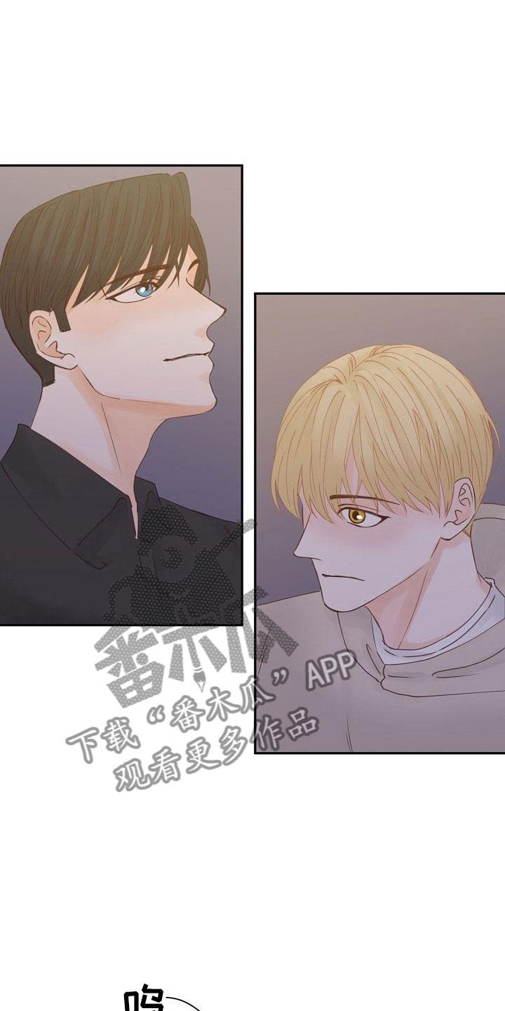 第21章：告白19