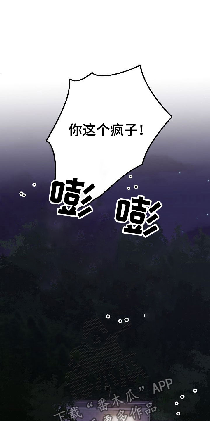 第32章：闪闪发光31
