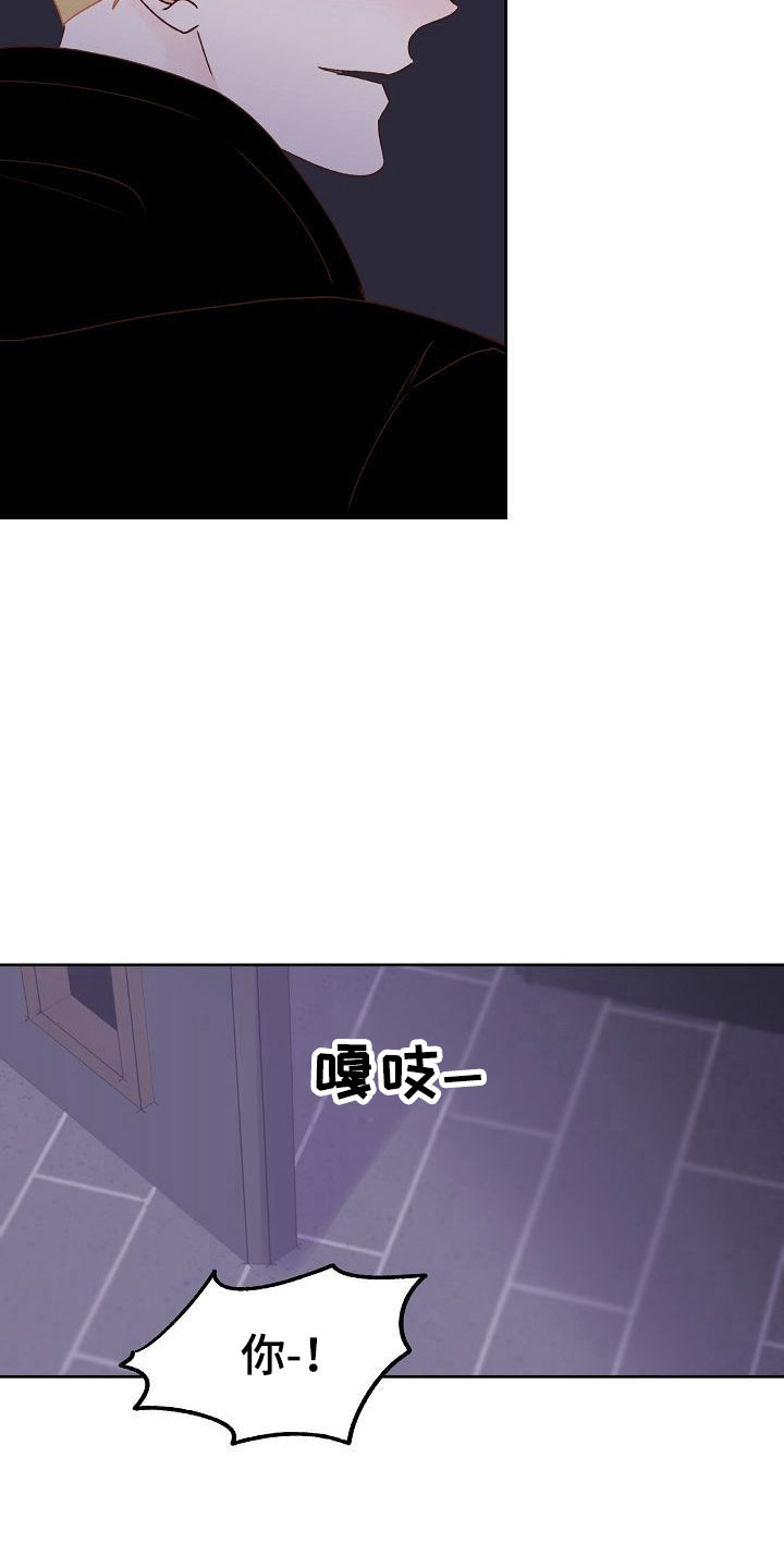 第32章：闪闪发光30