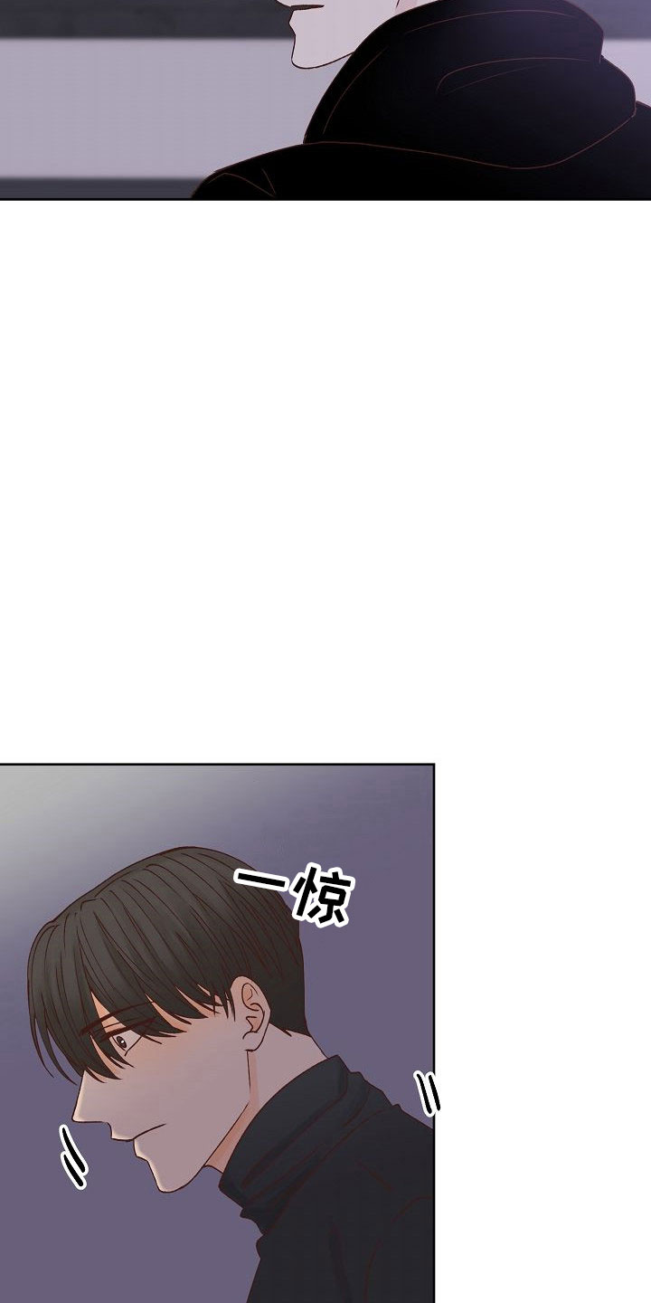 第32章：闪闪发光20
