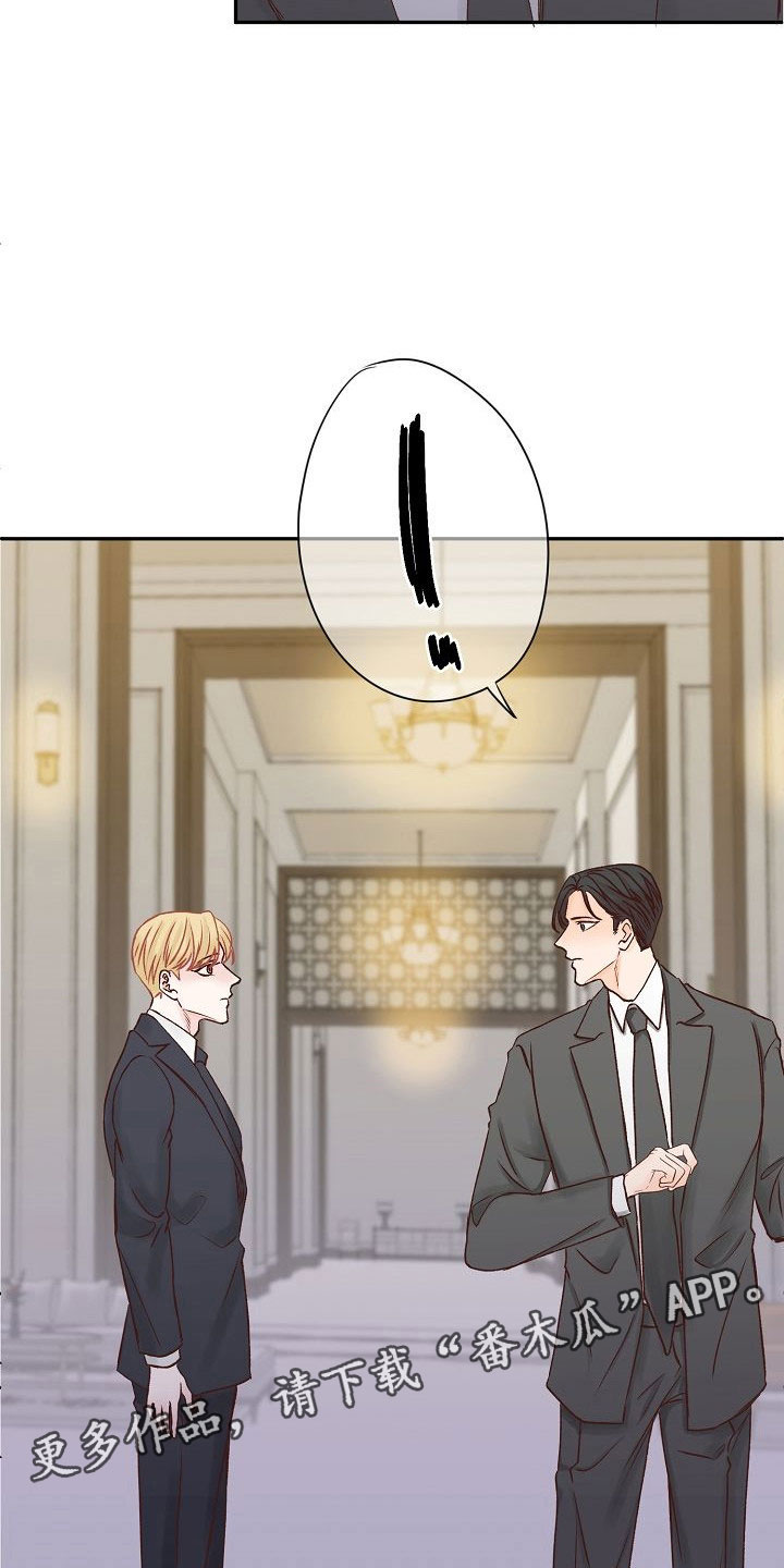 第23章：遇见19