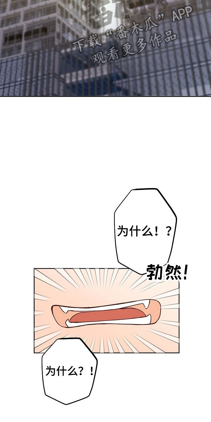 第34章：回应18