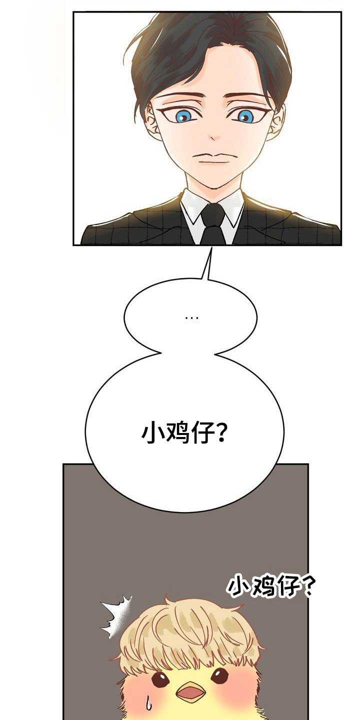 第1章：执着的会长17