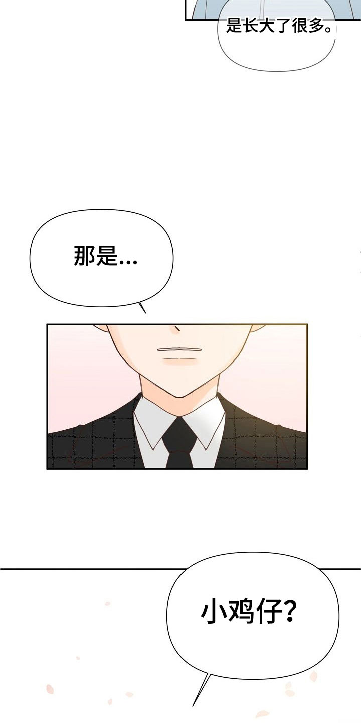 第20章：过去13