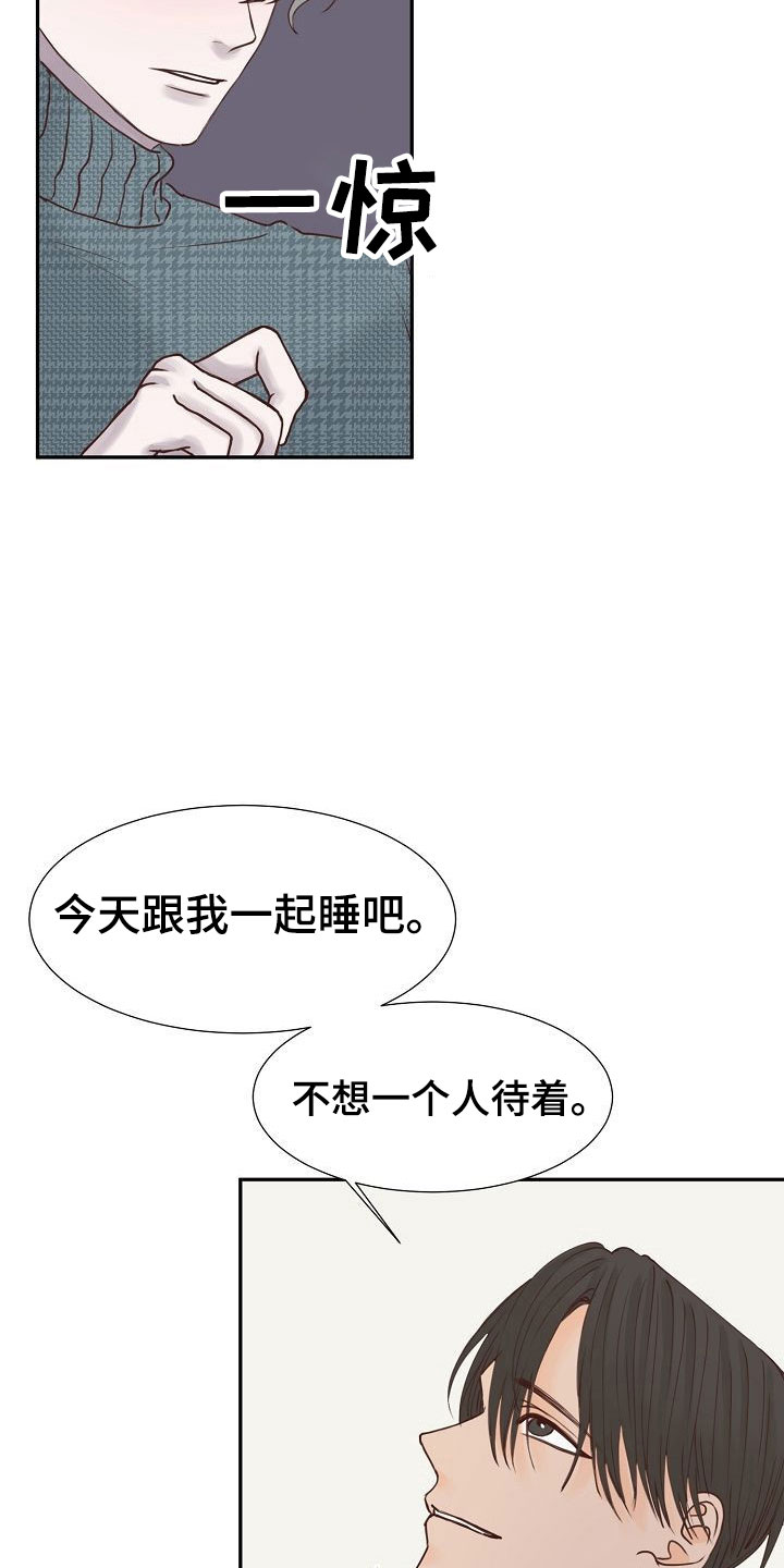 第15章：计划13