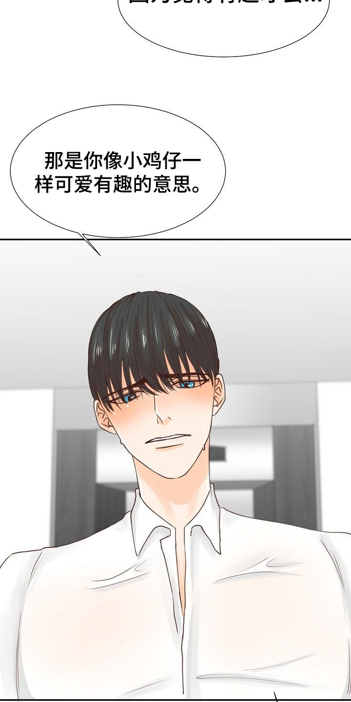 第14章：解释28