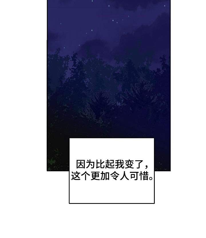 第32章：闪闪发光6