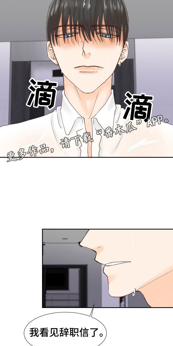 第14章：解释18