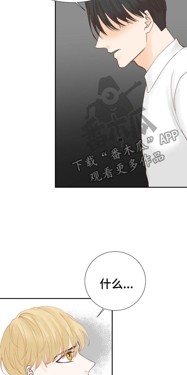 第14章：解释20