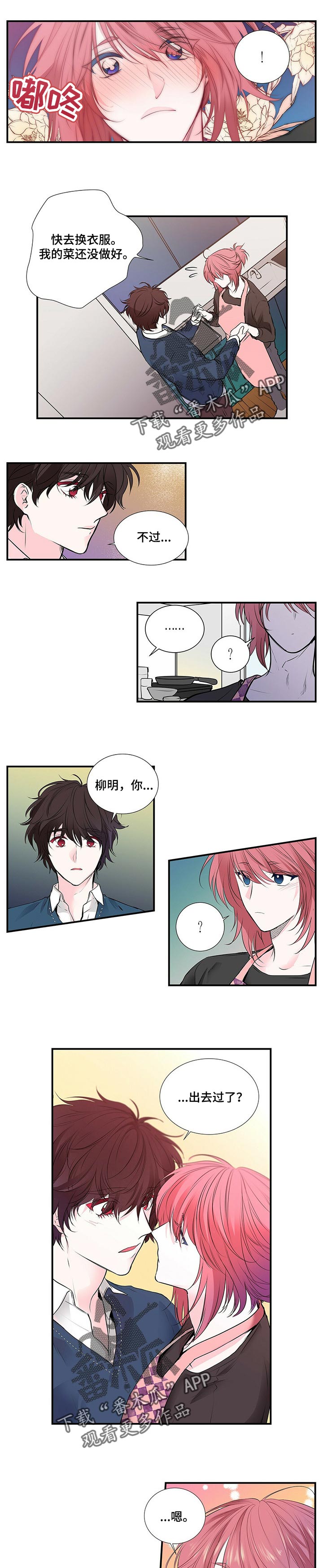 第115章：去能结婚的地方3