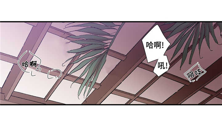 第24章：像麻雀一样可爱10