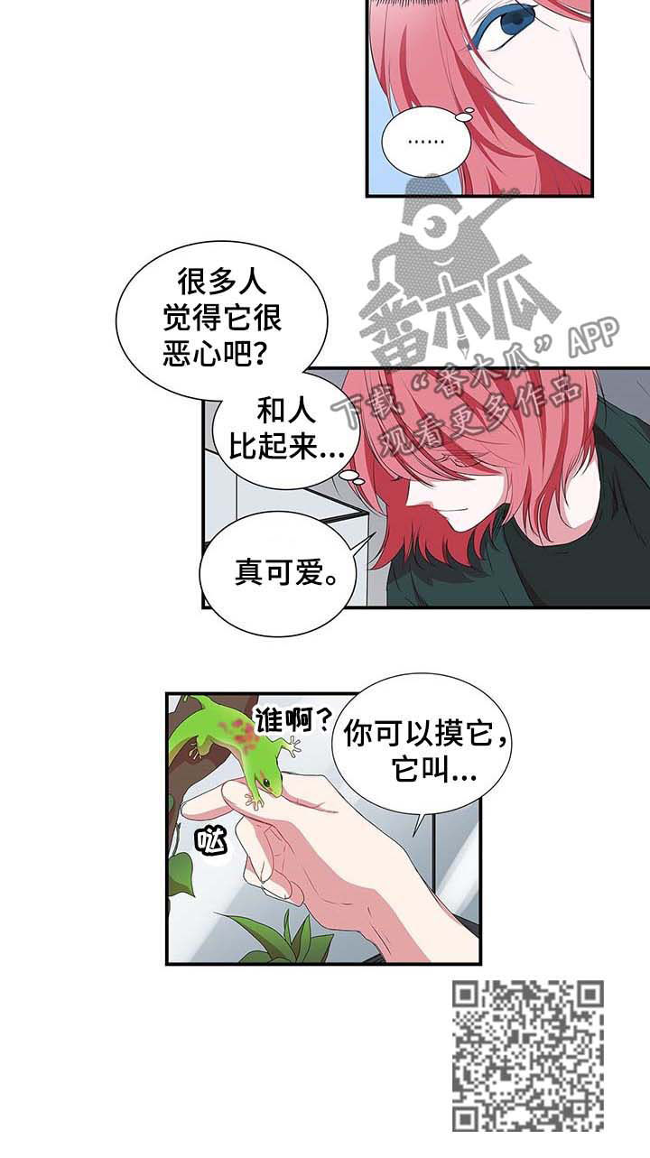 第37章：老虎8