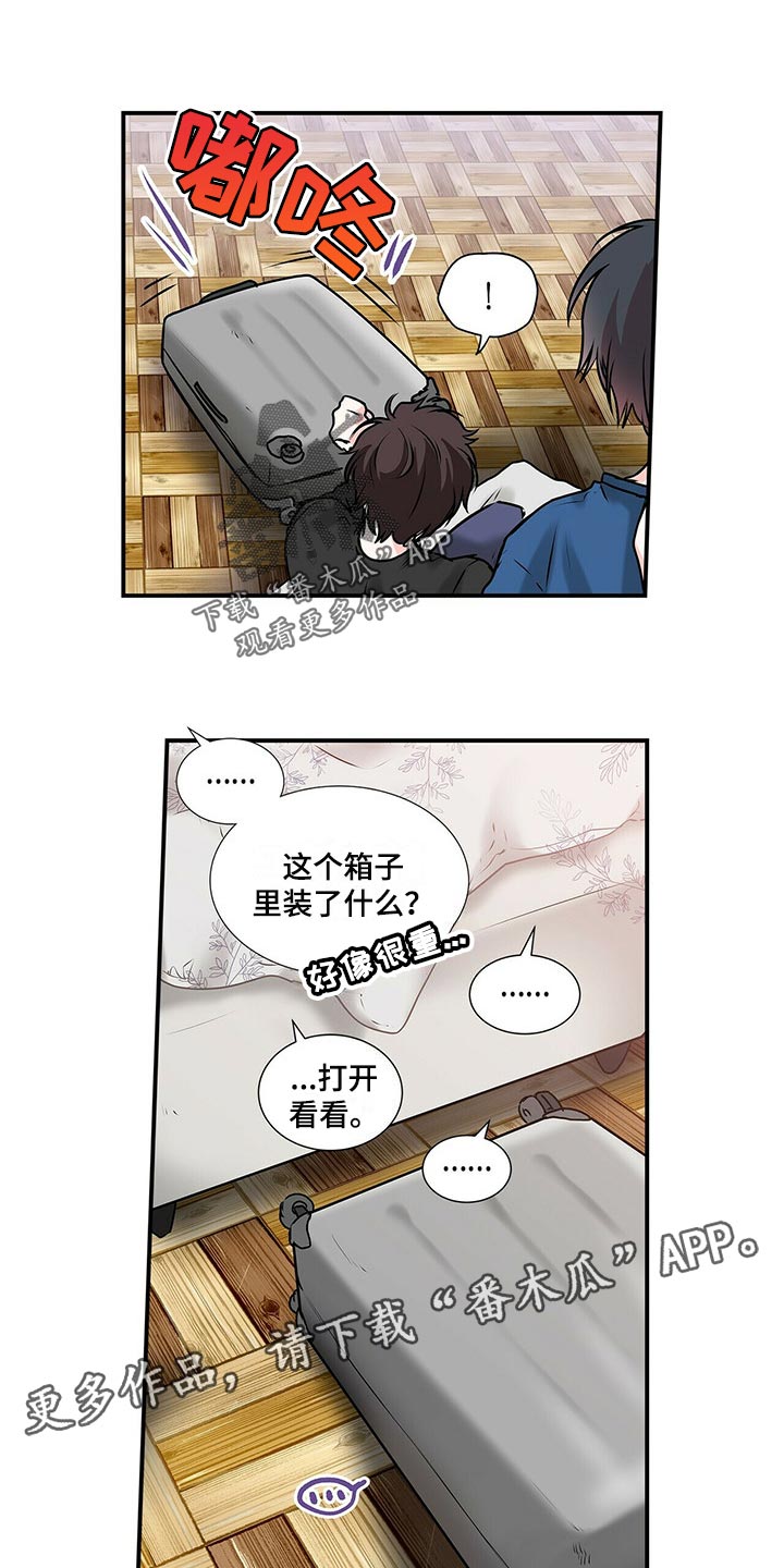 第137章：【番外】只是好奇12