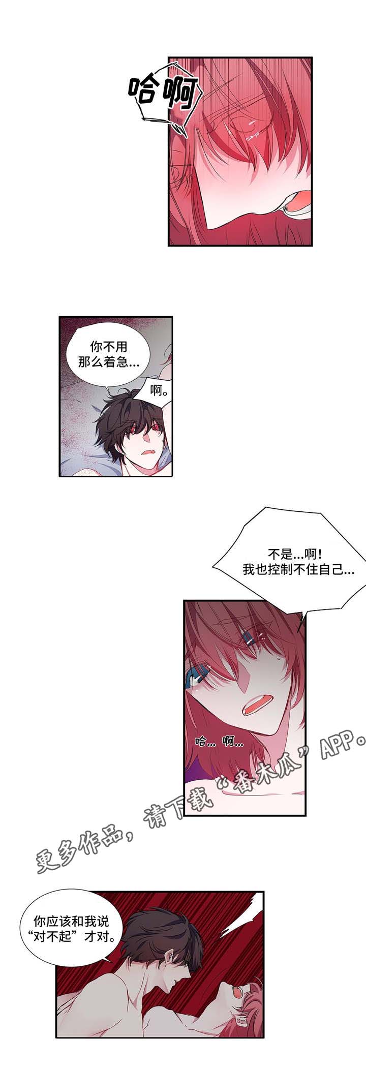 第21章：展示6
