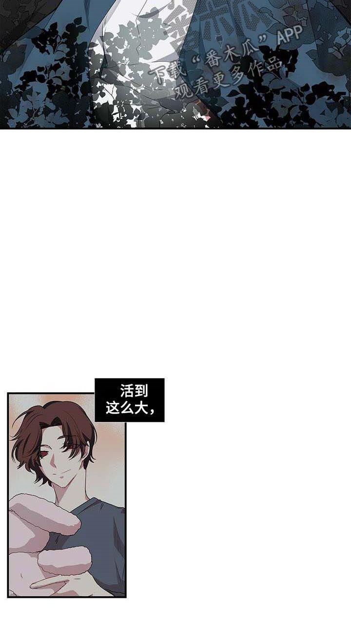 第50章：放心不下3