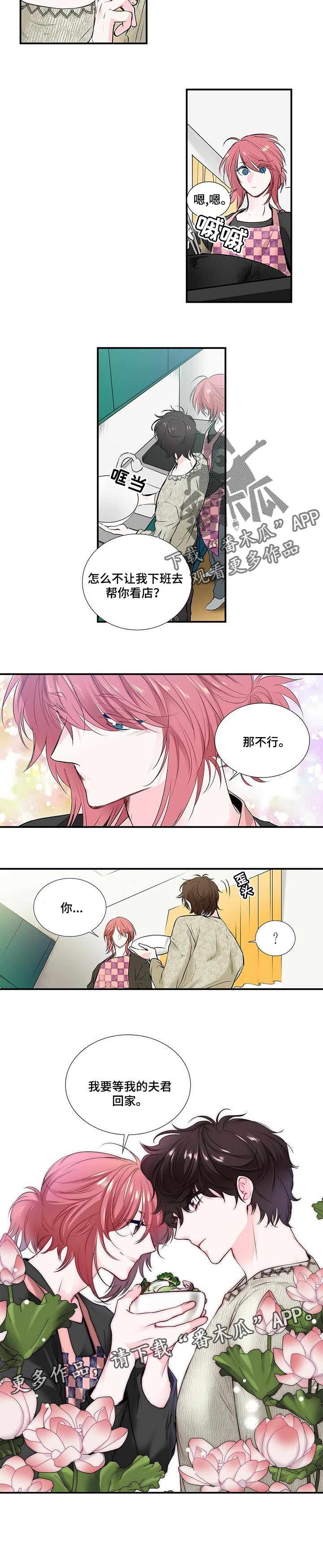 第115章：去能结婚的地方5