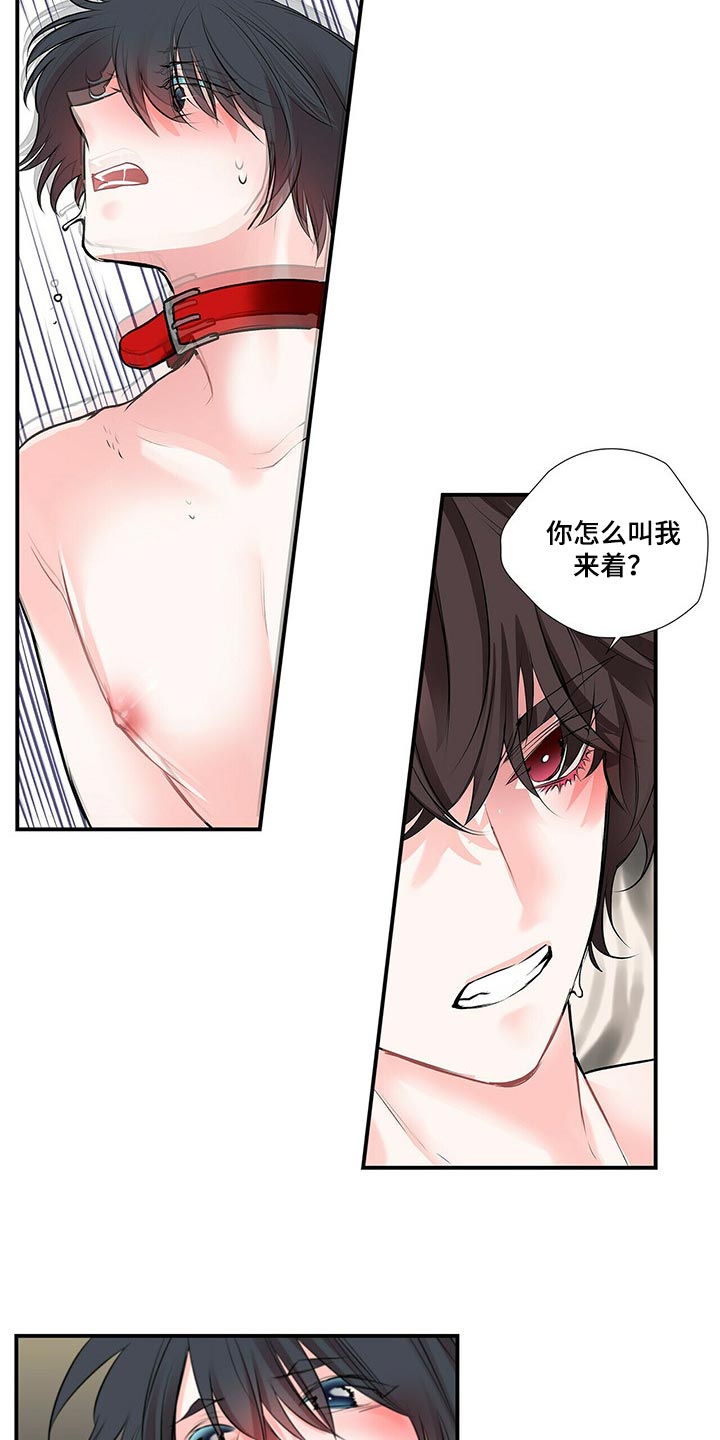 第138章：【番外】我永远的花朵（完结）6