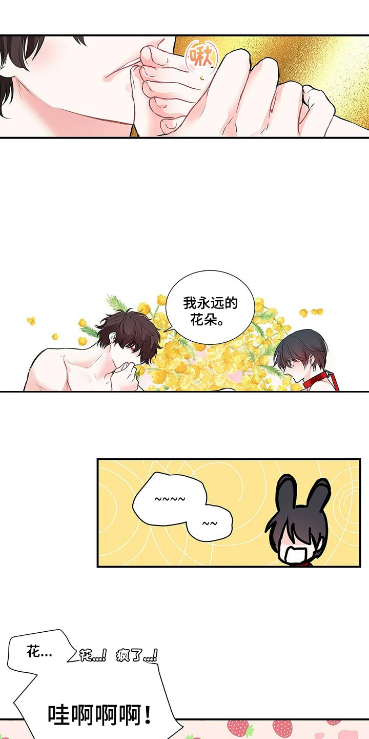 第138章：【番外】我永远的花朵（完结）17
