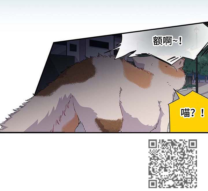 第26章：这个混蛋5