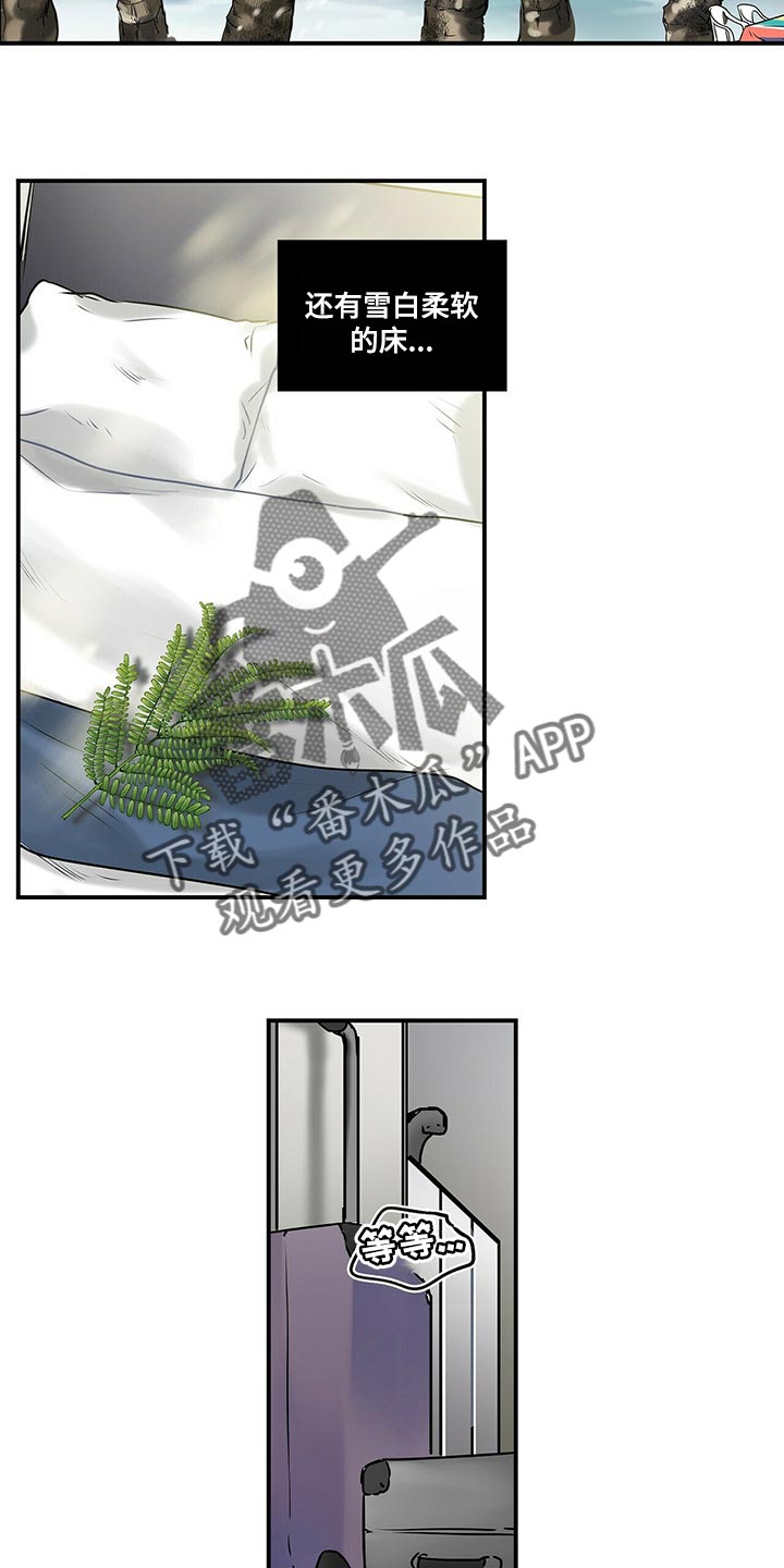 第135章：【番外】结婚10
