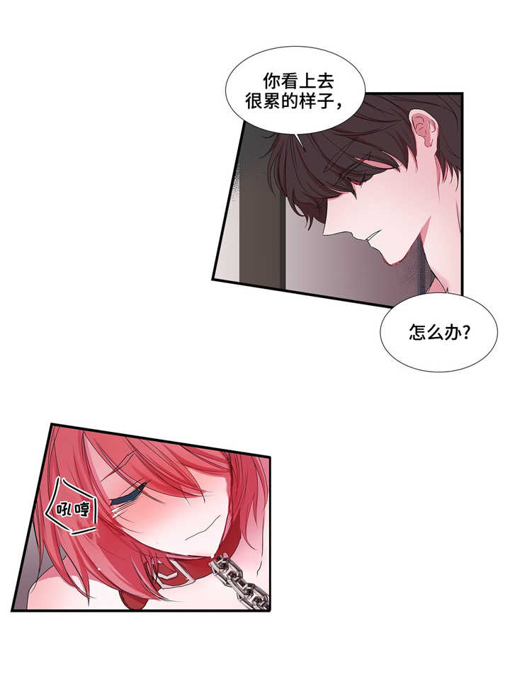 第24章：像麻雀一样可爱5