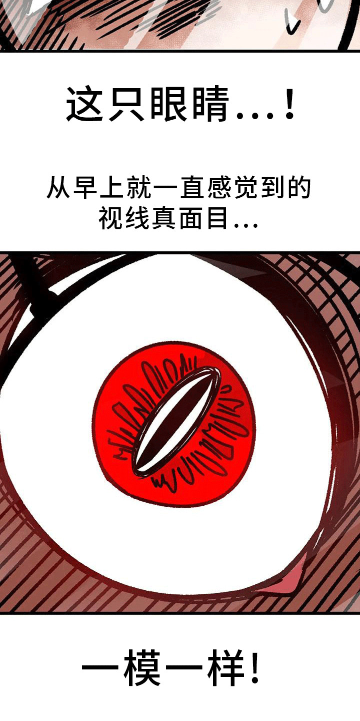 第15章：把柄10