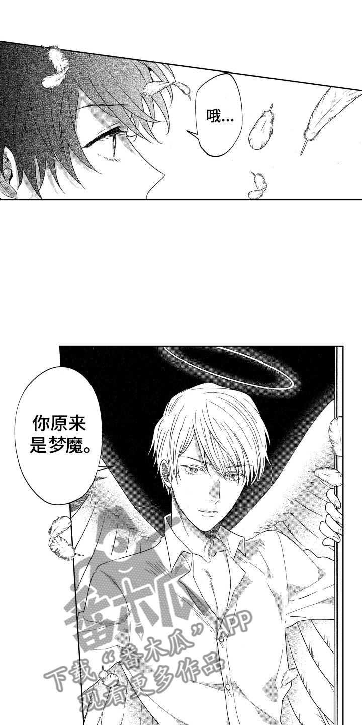 第12章：突降天使13
