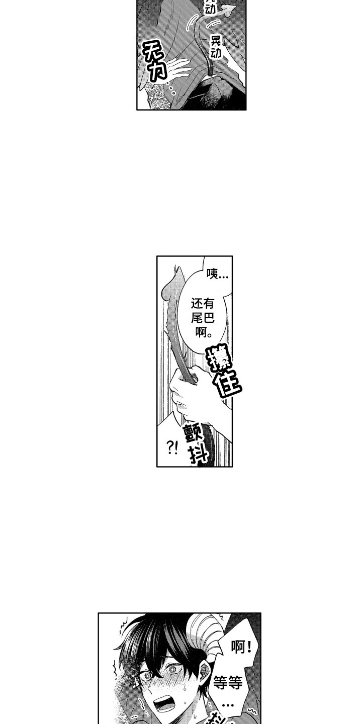 第3章：诚实的尾巴11
