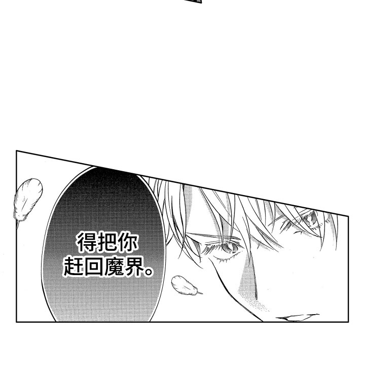 第12章：突降天使15