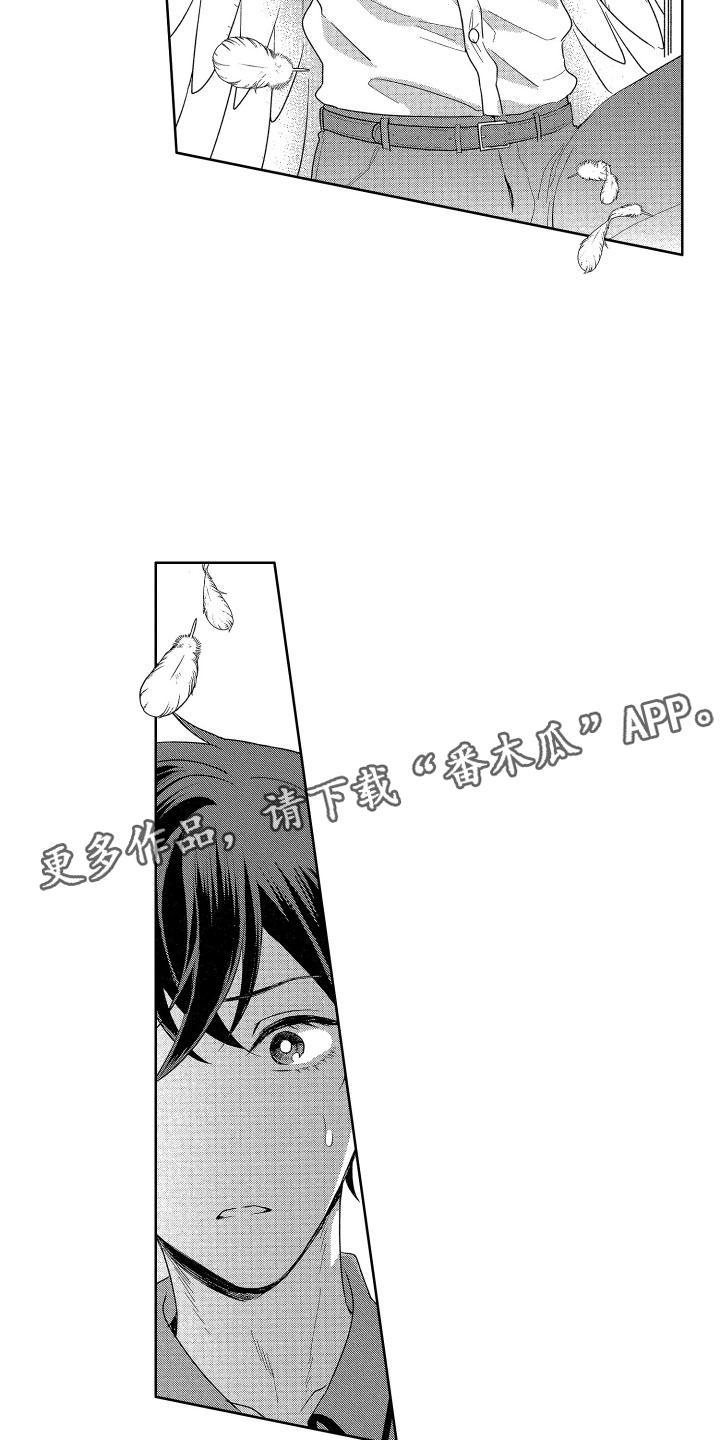 第12章：突降天使14