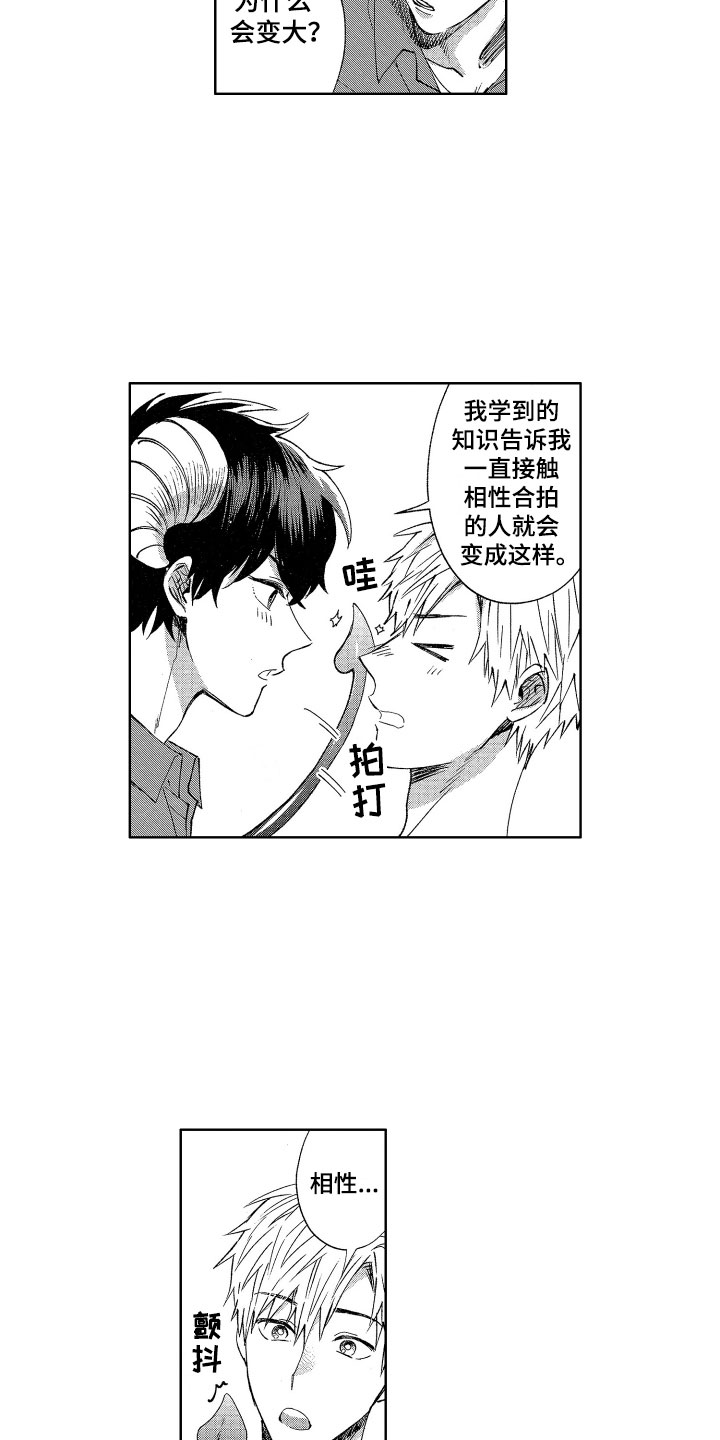 第3章：诚实的尾巴13