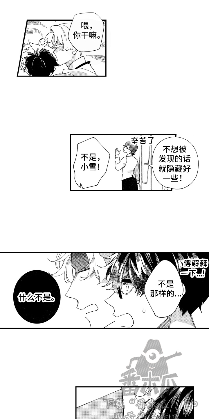 第13章：明显11