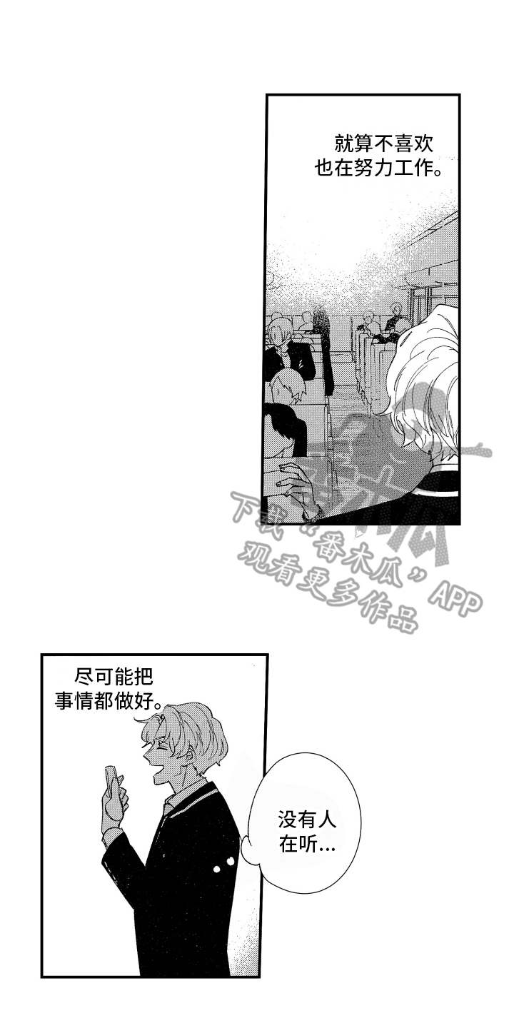 第5章：关注11