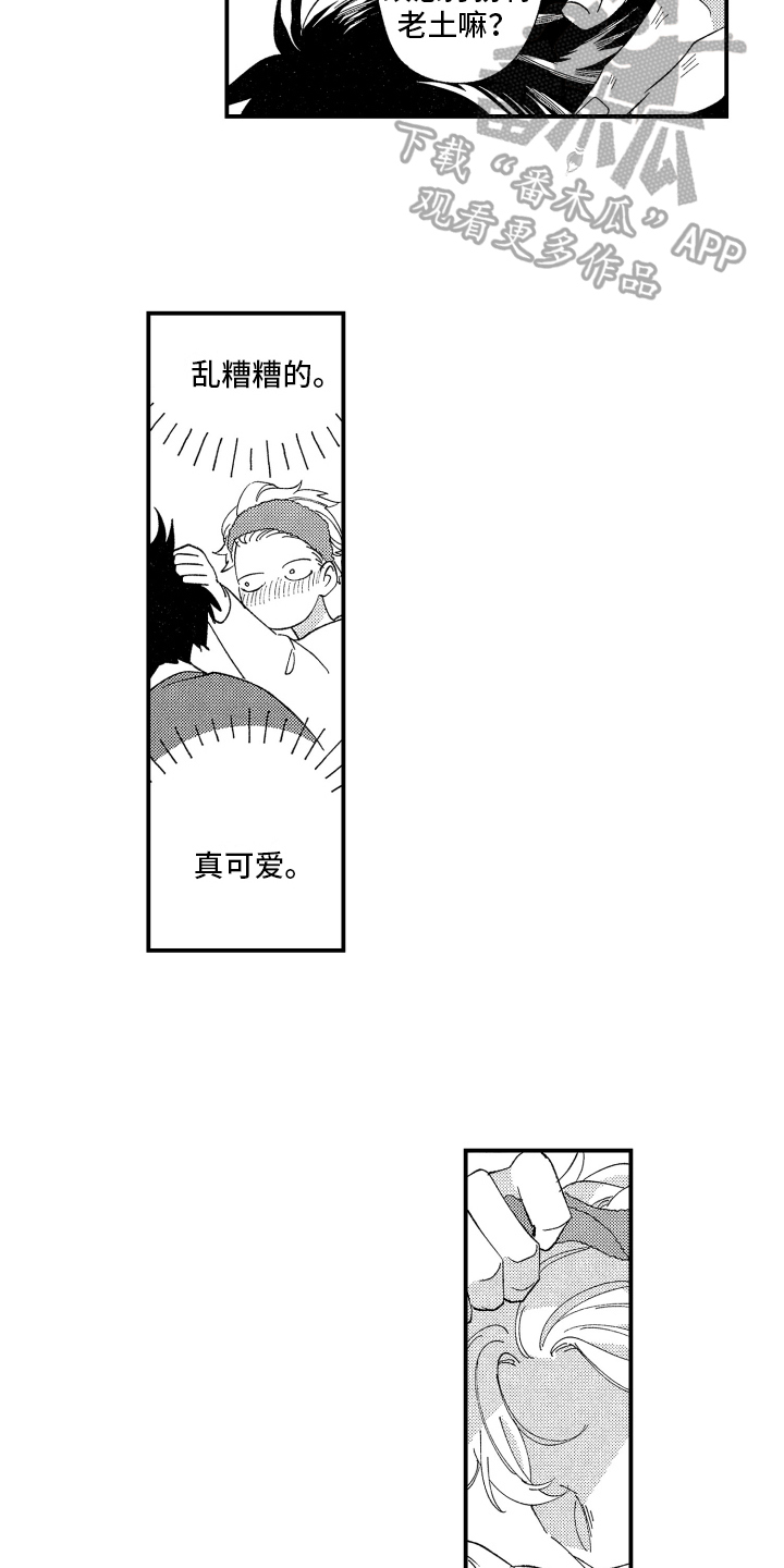 第5章：关注5