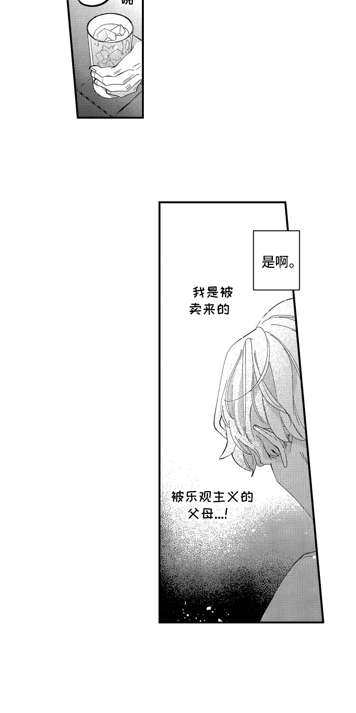第1章：导游13