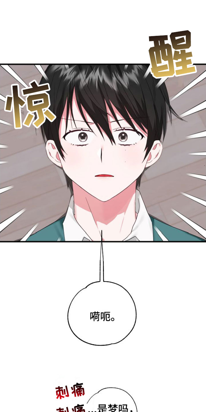 第3章：是梦吧16